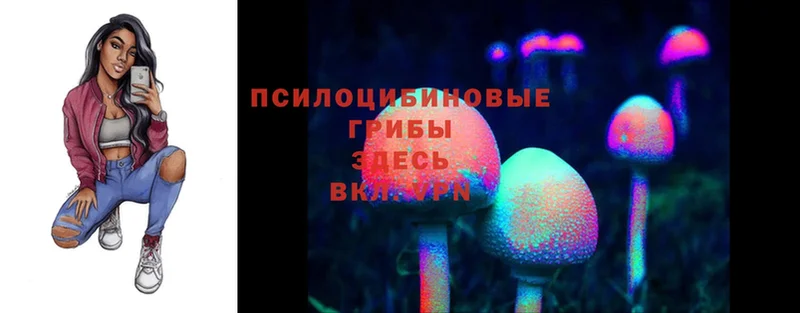 Псилоцибиновые грибы Psilocybine cubensis  как найти   ОМГ ОМГ ссылки  Пермь 